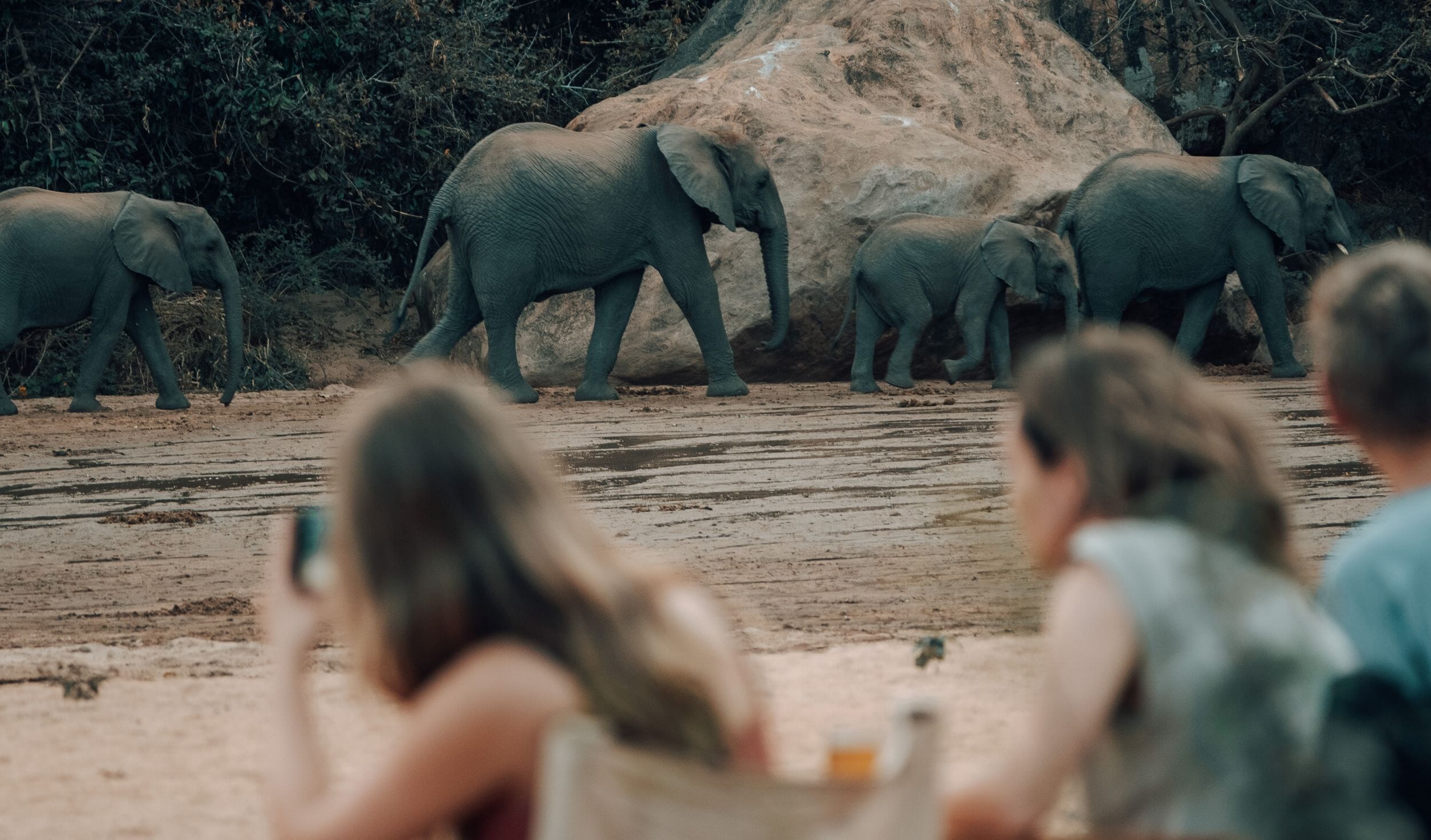 Wayo Manyara Green Camp_Lake Manyara_Tanzania_Luxury Family Safaris Coral Tree Travel
