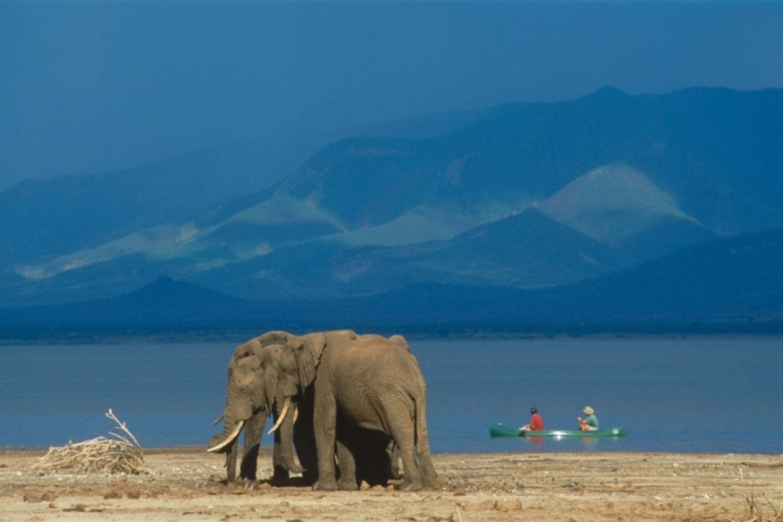 Wayo Manyara Green Camp_Lake Manyara_Tanzania_Luxury Family Safaris Coral Tree Travel