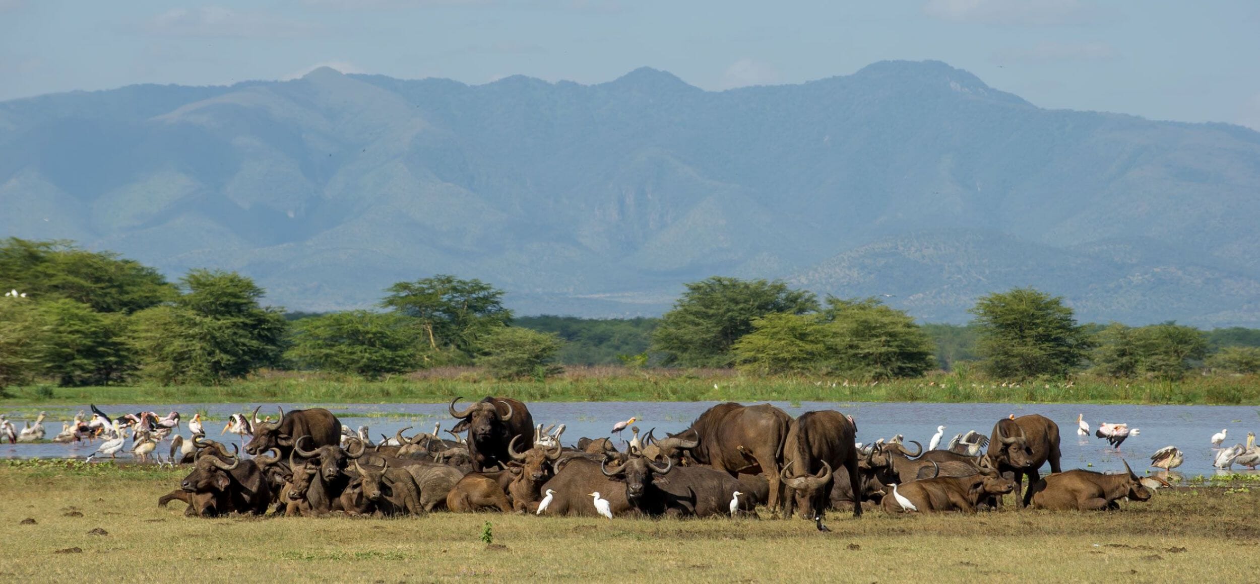 Wayo Manyara Green Camp_Lake Manyara_Tanzania_Luxury Family Safaris Coral Tree Travel