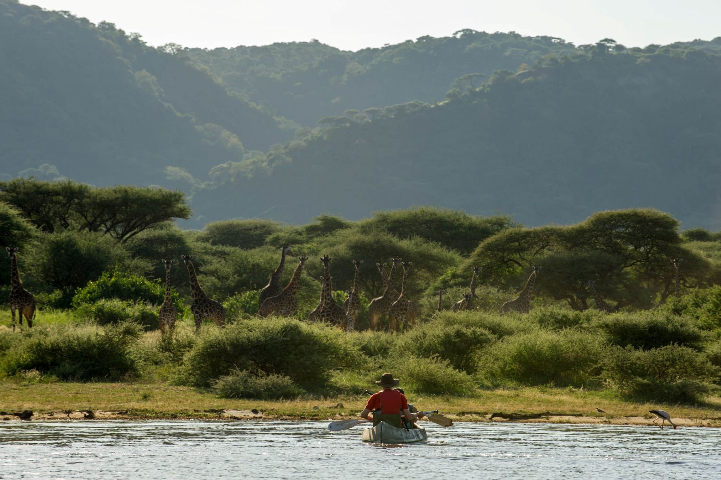 Wayo Manyara Green Camp_Lake Manyara_Tanzania_Luxury Family Safaris Coral Tree Travel