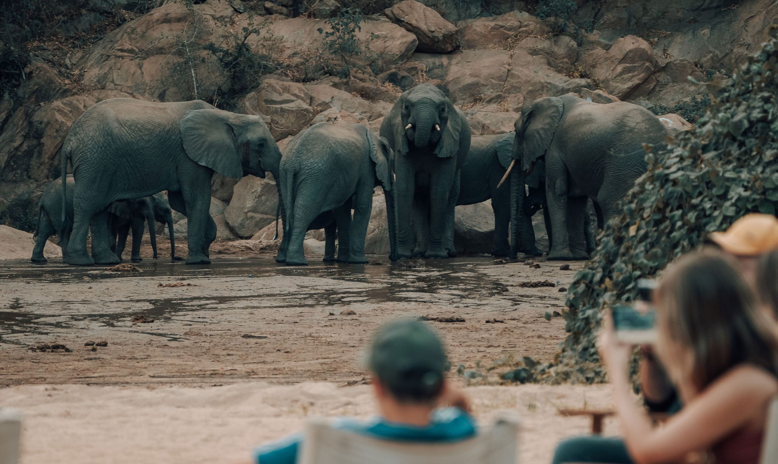 Wayo Manyara Green Camp_Lake Manyara_Tanzania_Luxury Family Safaris Coral Tree Travel