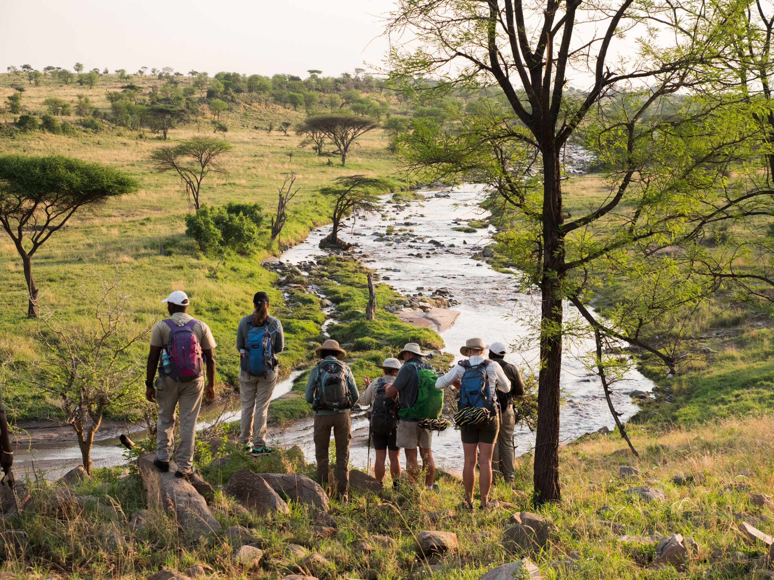 Wayo Serengeti Green Camp, Tanzania, Luxury Family Safaris Coral Tree Travel