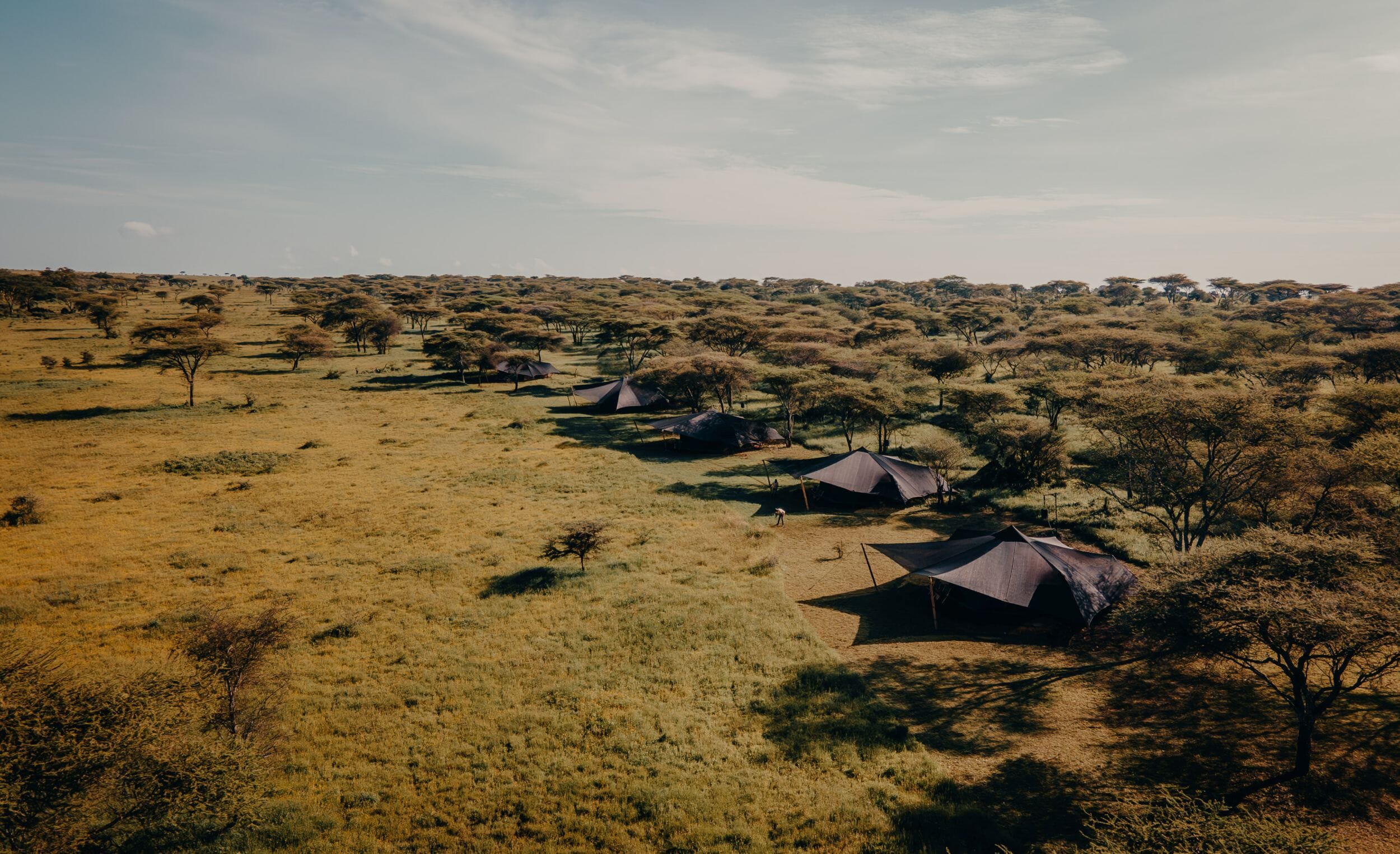 Wayo Serengeti Green Camp Tanzania Luxury Family Safaris Coral Tree Travel