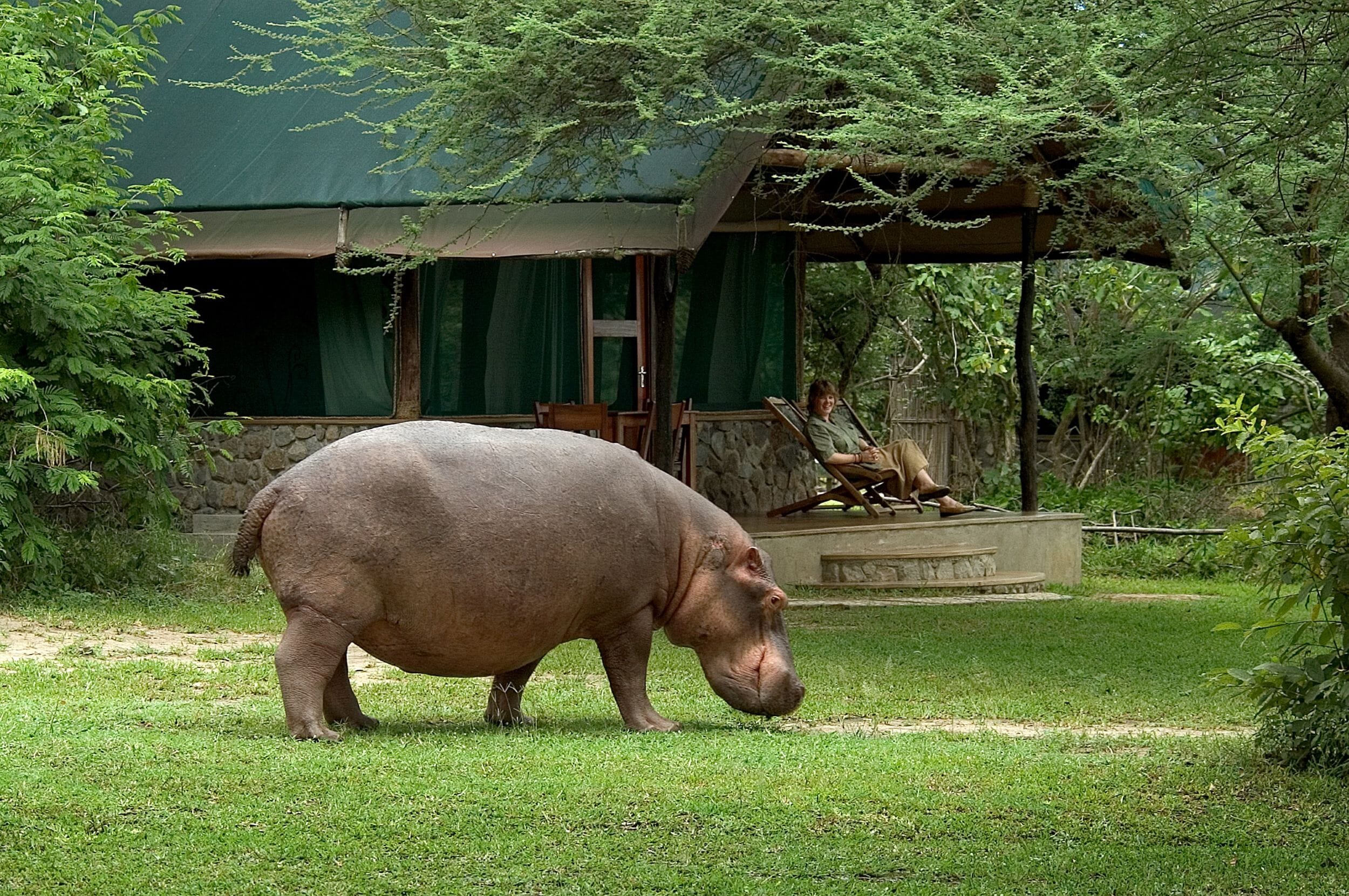 Mvuu Camp_Liwonde_Malawi_Luxury Family Safaris Coral Tree Travel