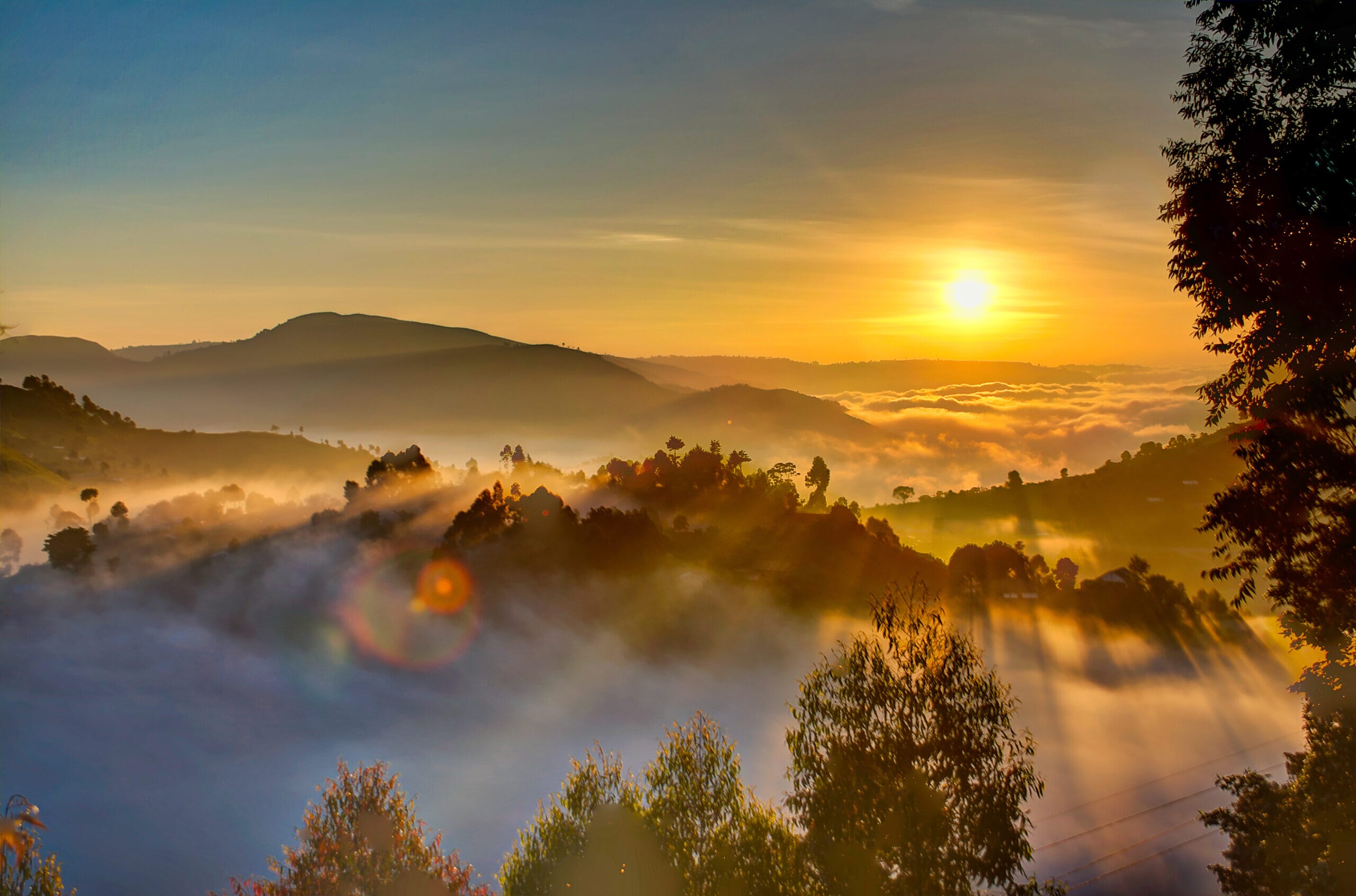 shutterstock_1253823715.jpg?w=1024&h=677&scale